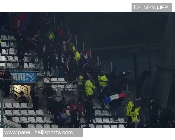 足球场上的暴力冲突引发社会关注球迷斗殴事件频发亟需加强管理与教育